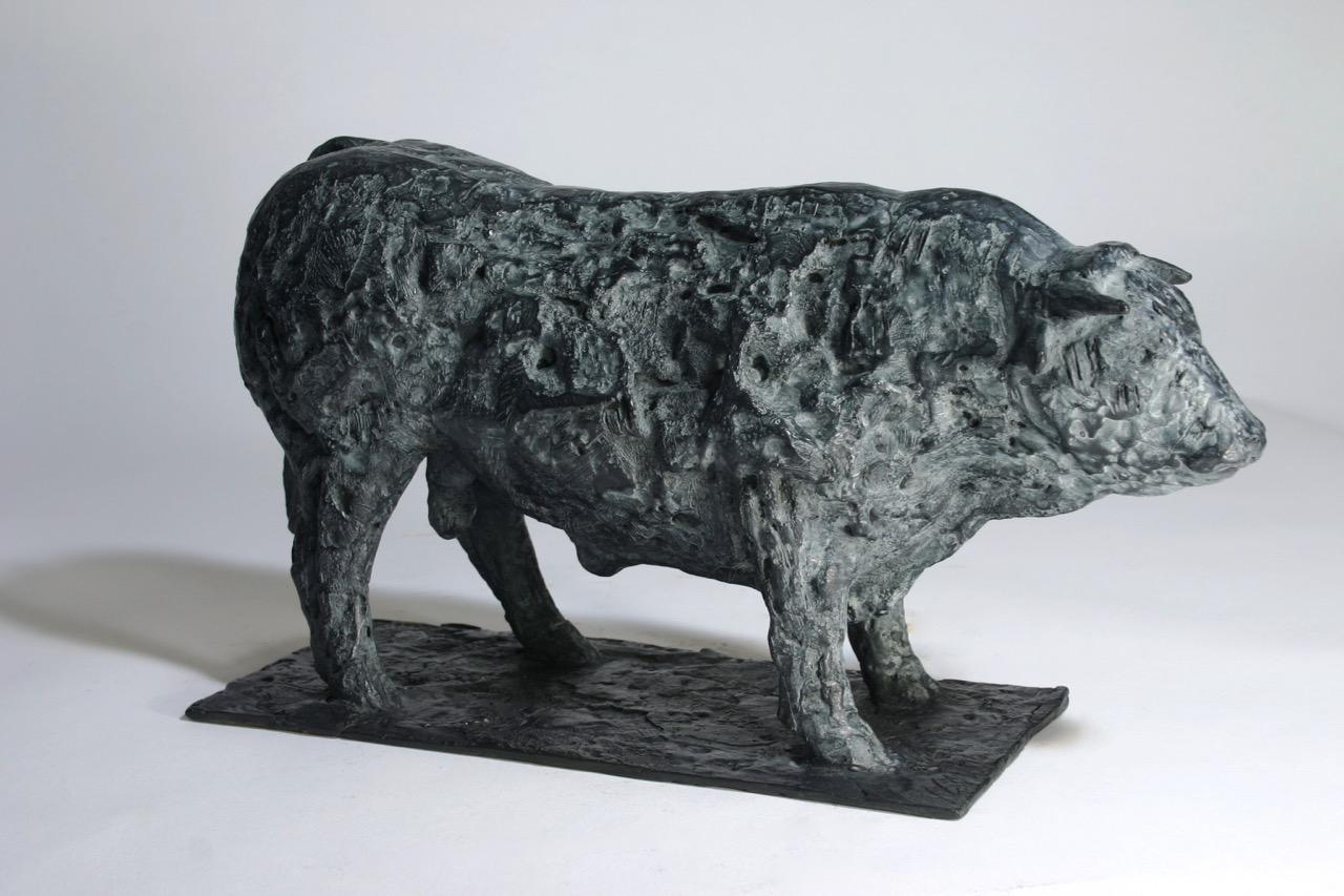 Grand taureau charolais  2016 Bronze 8 ex. - Hauteur : 19 cm