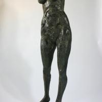 Small Pomona  2011 Bronze 8 ex. - Height : 50,78 in