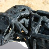 My neighbour the Charolais  2017 - Detail