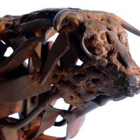 Toro antico 2017 Detail