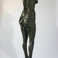 Small Pomona  2011 Bronze 8 ex. - Height : 47,24 in