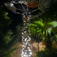 Le Palmier de la Vie et de l'Amour  2019 - By night...